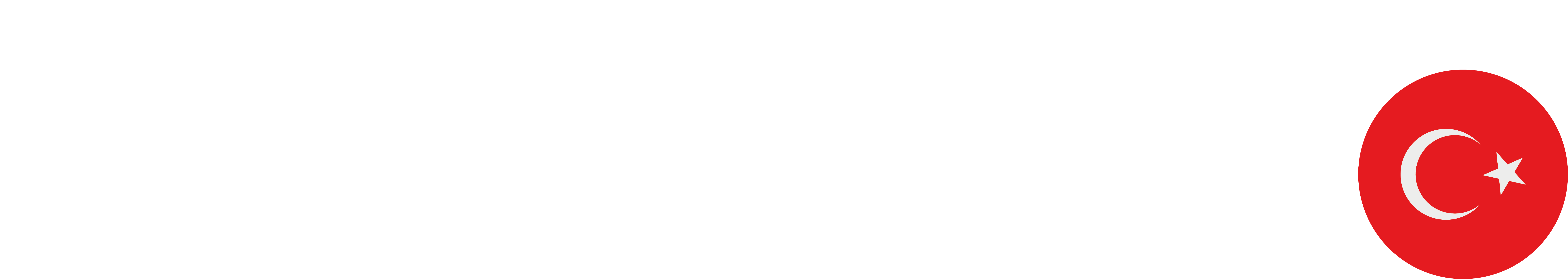 Webturco360° Logo
